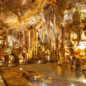 WEEK END IN PUGLIA- GROTTE DI CASTELLANA - ZOOFASANO e  ALBEROBELLO - 19 e 20 settembre 2026